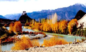 Travel Guide to Ladakh: Stakna monastery in near Leh in Ladakh, India