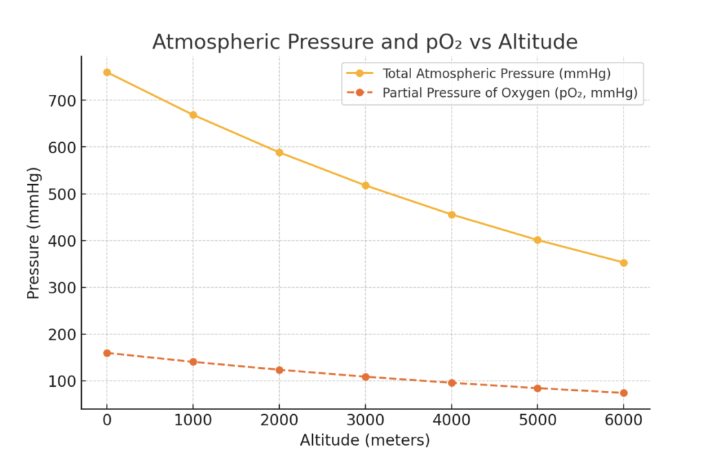 Comprehensive Guide on Acute Mountain Sickness (AMS)