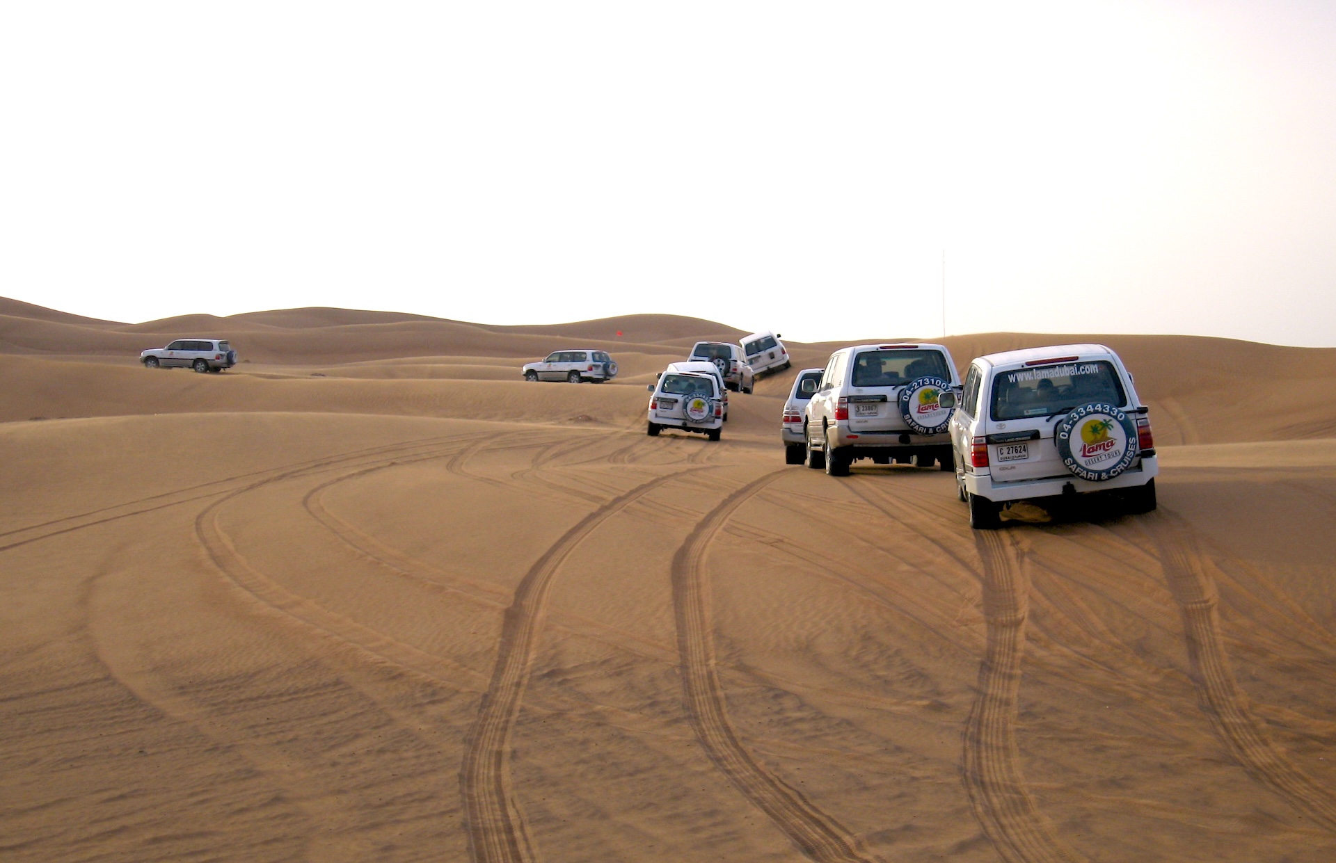 Dubai desert evening with golden dunes, open skies, and rich cultural experience