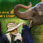 Vantara Jamnagar wildlife sanctuary and Supreme Court verdict