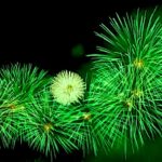 Green Diwali celebration fireworks in India