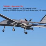 Türkiye to Build Drone Assembly Plant in Pakistan