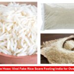 Plastic rice hoax debunked - viral fake rice video fact check by FSSAI India