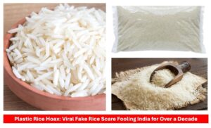 Plastic rice hoax debunked - viral fake rice video fact check by FSSAI India