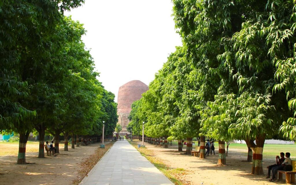Pathway lined with Ashoka trees leading to Dhamek Stupa Sarnath
